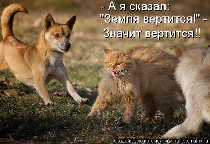 - А я сказал: "Земля вертится!" - Значит вертится!!... Котоматрица: - А я сказал: "Земля вертится!" - Значит вертится!!
