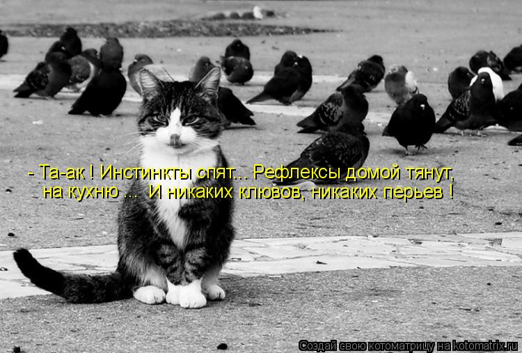 Котоматрица: - Та-ак ! Инстинкты спят... Рефлексы домой тянут,  на кухню ...  И никаких клювов, никаких перьев !
