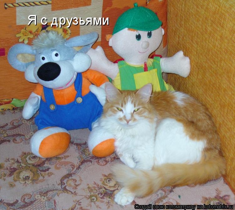Котоматрица: Я с друзьями