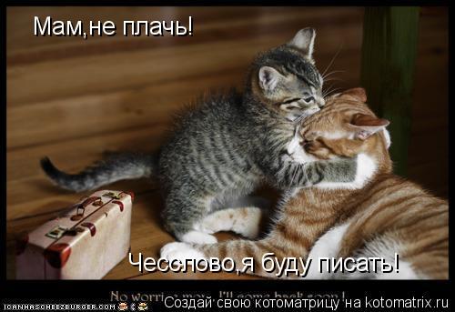 Котоматрица: Мам,не плачь! Чесслово,я буду писать!