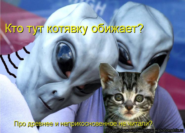 Котоматрица: Кто тут котявку обижает? Про древнее и неприкосновенное не читали?
