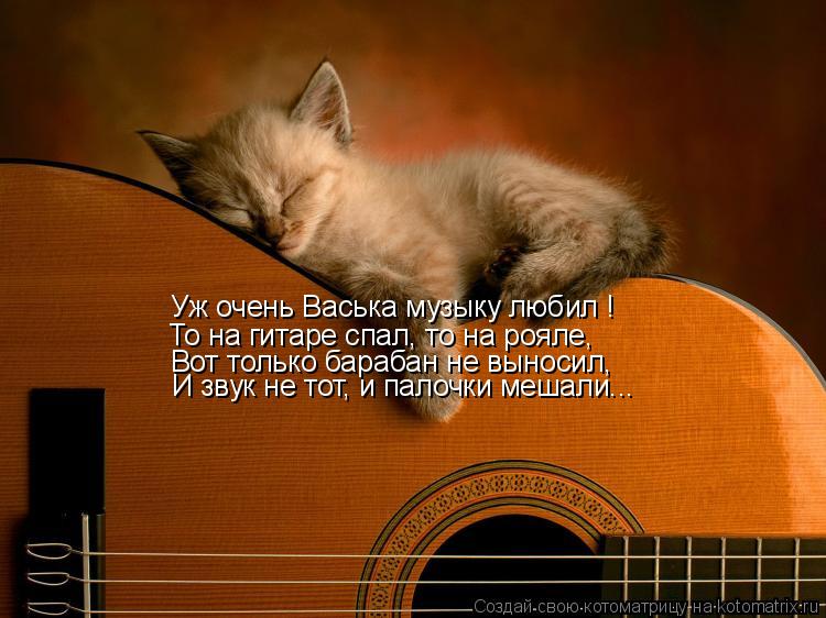 Котоматрица: Уж очень Васька музыку любил !  То на гитаре спал, то на рояле, Вот только барабан не выносил, И звук не тот, и палочки мешали...