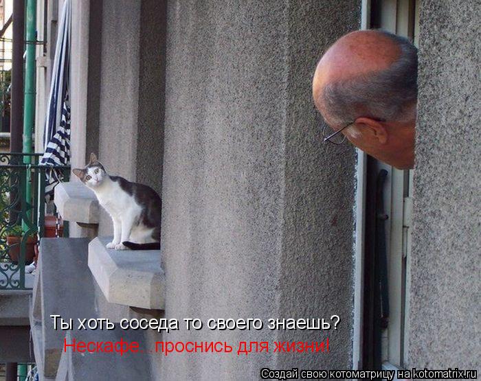 Котоматрица: Ты хоть соседа то своего знаешь?  Нескафе...проснись для жизни!