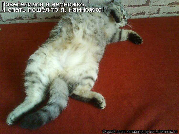 Котоматрица: Повеселился я немножко, И спать пошёл то я, намножко!