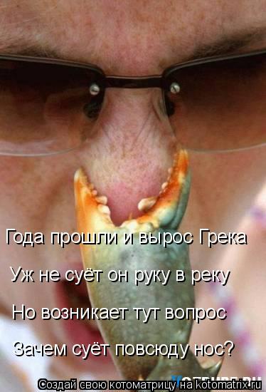 Года прошли и вырос Грека Уж не суёт он руку в реку Но возникает тут вопрос Зачем суёт повсюду нос?... Котоматрица: Года прошли и вырос Грека Уж не суёт он руку в реку Но возникает тут вопрос Зачем суёт повсюду нос?