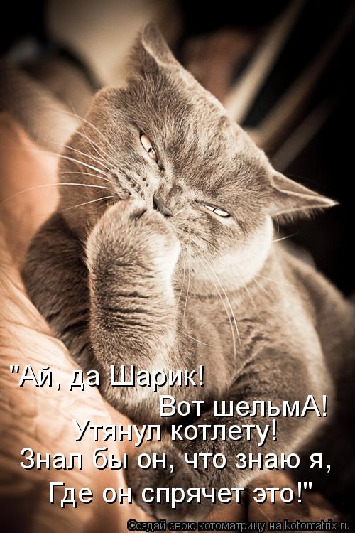 Котоматрица: Где он спрячет это!" Знал бы он, что знаю я, Утянул котлету! "Ай, да Шарик!  Вот шельмА!