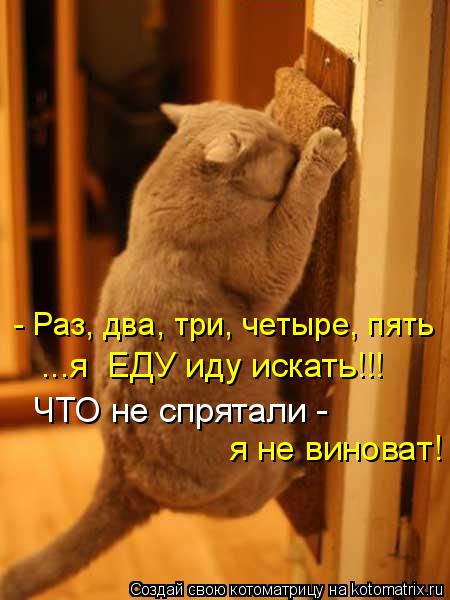 Котоматрица: - Раз, два, три, четыре, пять ...я  ЕДУ иду искать!!! ЧТО не спрятали - я не виноват!
