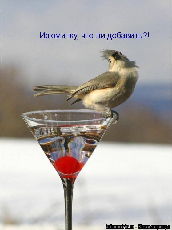 Котоматрица: Изюминку, что ли добавить?!
