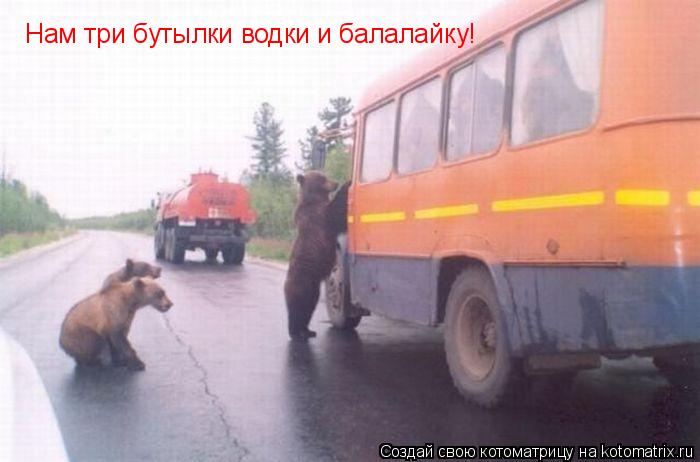 Котоматрица: Нам три бутылки водки и балалайку!