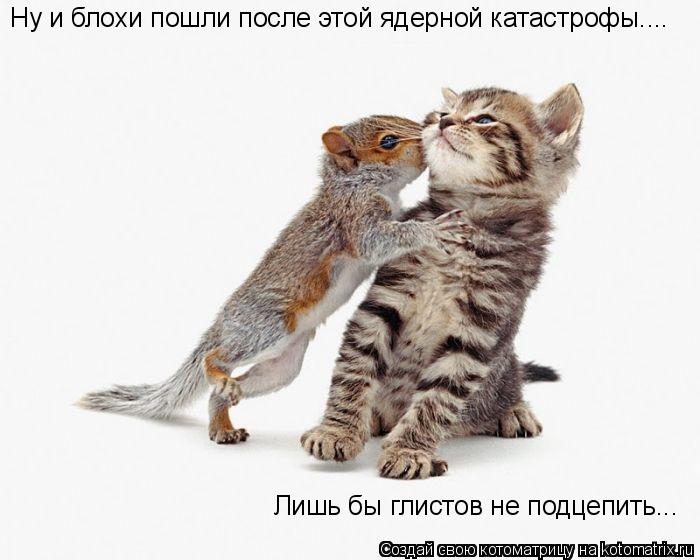 Котоматрица: Ну и блохи пошли после этой ядерной катастрофы....  Лишь бы глистов не подцепить...