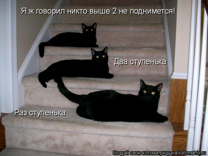 Котоматрица: Раз ступенька Два ступенька Я ж говорил никто выше 2 не поднимется!