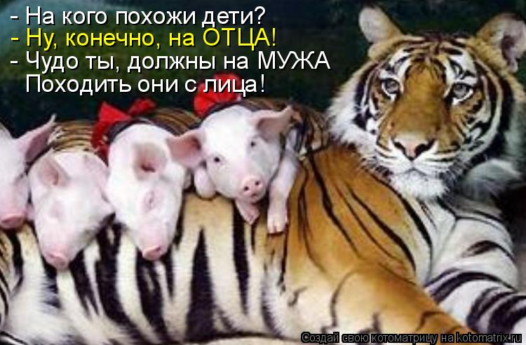 Котоматрица: - На кого похожи дети? - Ну, конечно, на ОТЦА! - Чудо ты, должны на МУЖА Походить они с лица!