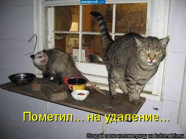 Котоматрица: Пометил... на удаление...