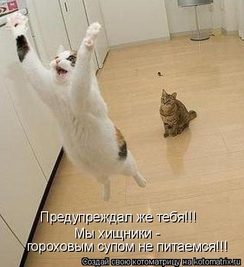 Котоматрица: гороховым супом не питаемся!!! Мы хищники -  Предупреждал же тебя!!!