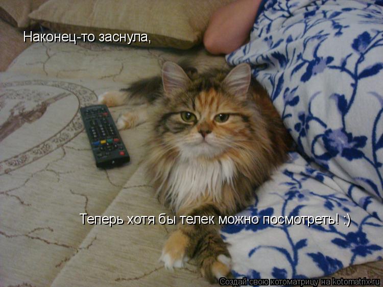 Котоматрица: Наконец-то заснула,  Теперь хотя бы телек можно посмотреть! :)