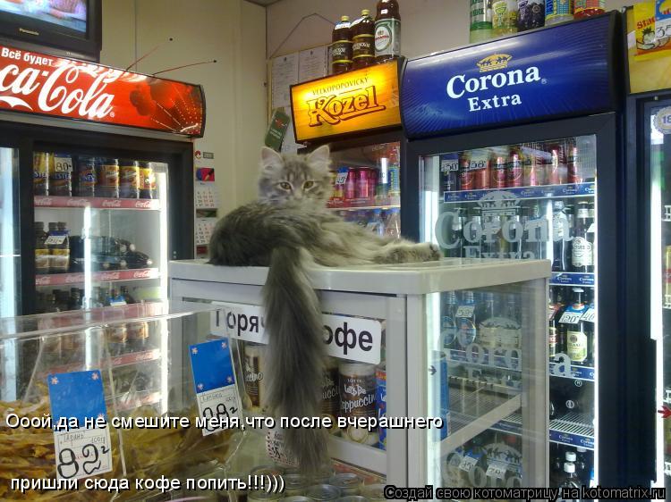 Котоматрица: пришли сюда кофе попить!!!))) Ооой,да не смешите меня,что после вчерашнего