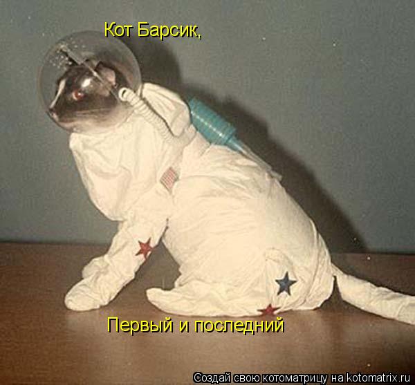 Котоматрица: Кот Барсик, Первый и последний