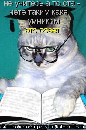 Котоматрица: не учитесь а то ста -  нете таким какя умником это совет