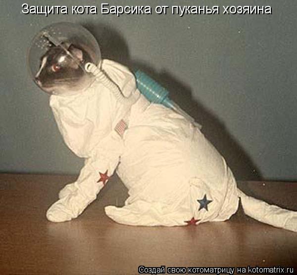 Котоматрица: Защита кота Барсика от пуканья хозяина