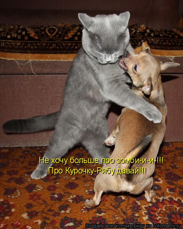 Котоматрица: Не хочу больше про зомби-и-и-!!! Про Курочку-Рябу давай!!!