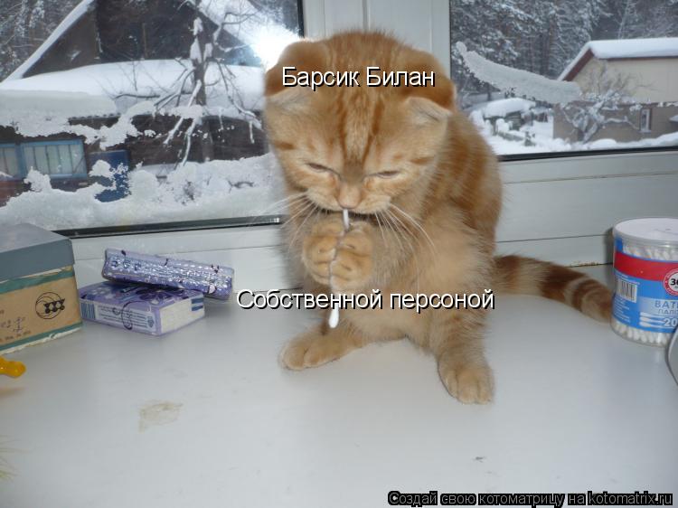 Котоматрица: Барсик Билан Собственной персоной