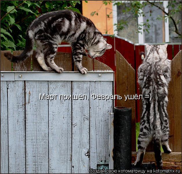 Котоматрица: Март пришёл, Февраль ушёл =)
