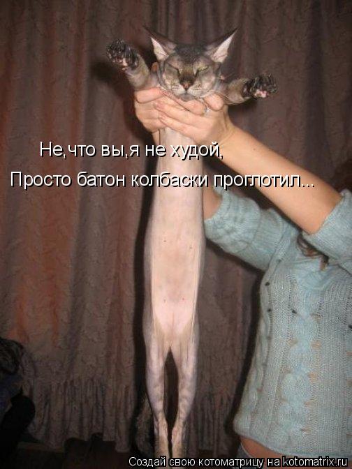 Котоматрица: Не,что вы,я не худой, Просто батон колбаски проглотил...
