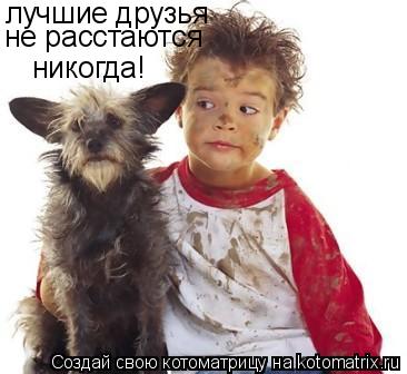 Котоматрица: лучшие друзья не расстаются никогда!