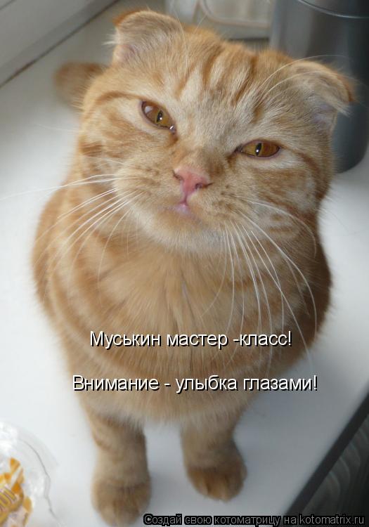 Котоматрица: Муськин мастер -класс! Внимание - улыбка глазами!