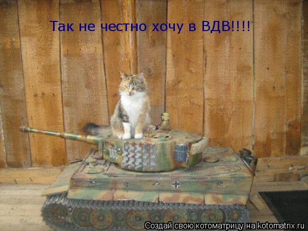 Котоматрица: Так не честно хочу в ВДВ!!!!