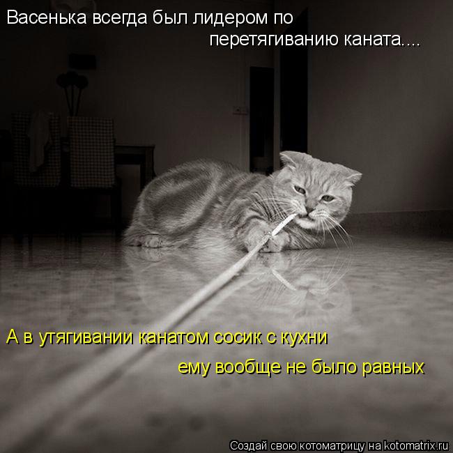 Котоматрица: Васенька всегда был лидером по  перетягиванию каната.... А в утягивании канатом сосик с кухни ему вообще не было равных