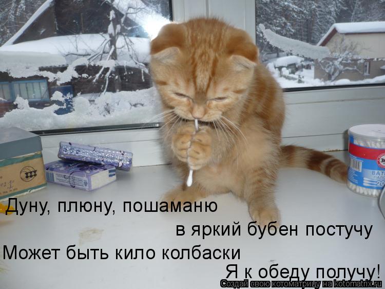 Котоматрица: Дуну, плюну, пошаманю в яркий бубен постучу Может быть кило колбаски Я к обеду получу!