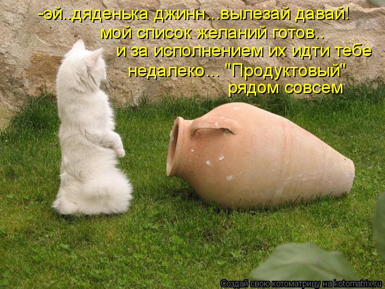 Котоматрица: -эй..дяденька джинн...вылезай давай! мой список желаний готов.. и за исполнением их идти тебе недалеко... "Продуктовый" рядом совсем