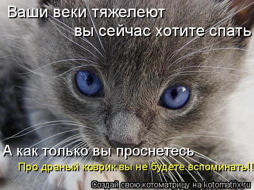 Котоматрица: Ваши веки тяжелеют  вы сейчас хотите спать А как только вы проснетесь Про драный коврик вы не будете вспоминать!!!