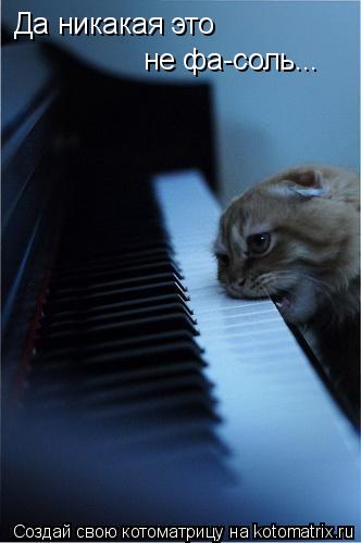 Котоматрица: Да никакая это  не фа-соль...