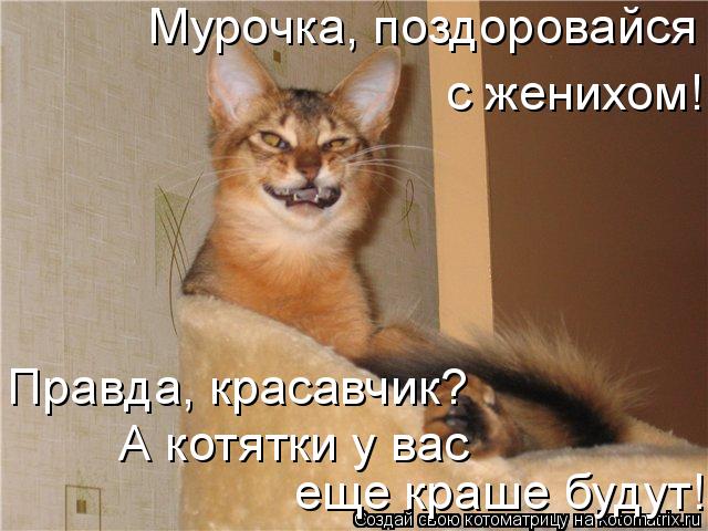 Котоматрица: Мурочка, поздоровайся  с женихом! Правда, красавчик? А котятки у вас  еще краше будут!