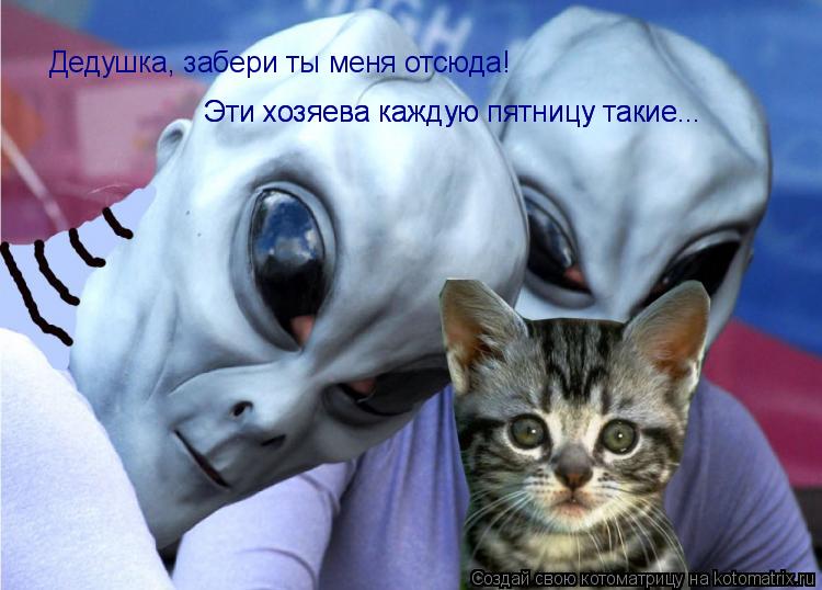 Котоматрица: Дедушка, забери ты меня отсюда! Эти хозяева каждую пятницу такие... Эти хозяева каждую пятницу такие...
