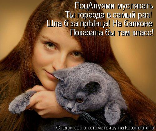 Котоматрица: ПоцАлуями муслякать  Шла б за прЫнца! На балконе Показала бы там класс! Ты горазда в самый раз!
