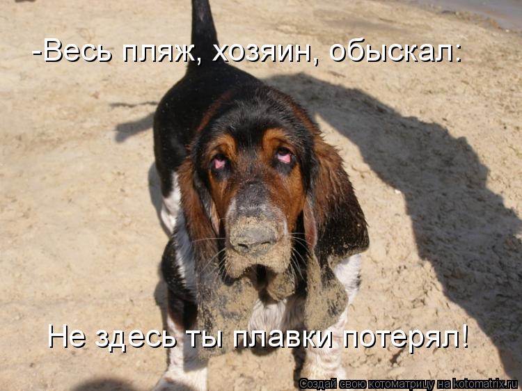 -Весь пляж, хозяин, обыскал: Не здесь ты плавки потерял!... Котоматрица: -Весь пляж, хозяин, обыскал: Не здесь ты плавки потерял!