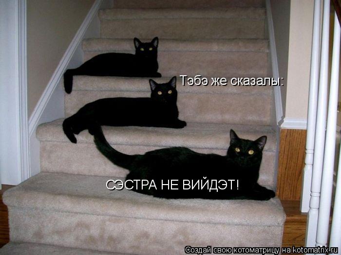 Котоматрица: Тэбэ же сказалы: СЭСТРА НЕ ВИЙДЭТ!