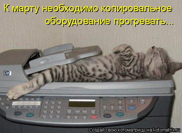 Котоматрица: К марту необходимо копировальное оборудование прогревать...