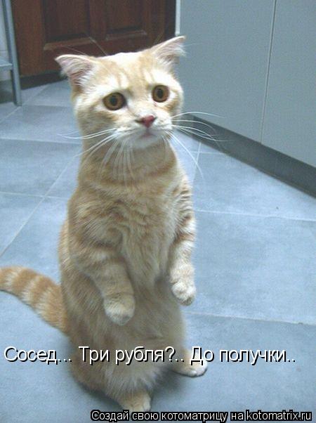 Котоматрица: Сосед... Три рубля?.. До получки..