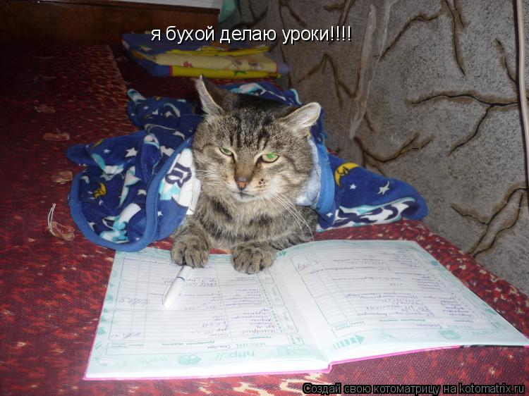 Котоматрица: я бухой делаю уроки!!!! я бухой делаю уроки!!!!