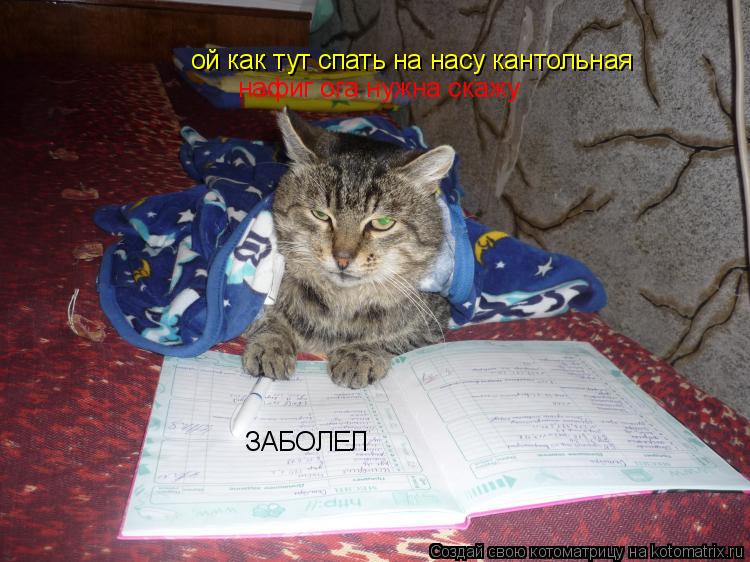 Котоматрица: ой как тут спать на насу кантольная нафиг ога нужна скажу  ЗАБОЛЕЛ