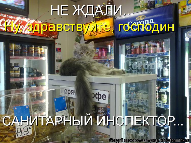 Котоматрица: НЕ ЖДАЛИ... Ну, здравствуйте, господин САНИТАРНЫЙ ИНСПЕКТОР...
