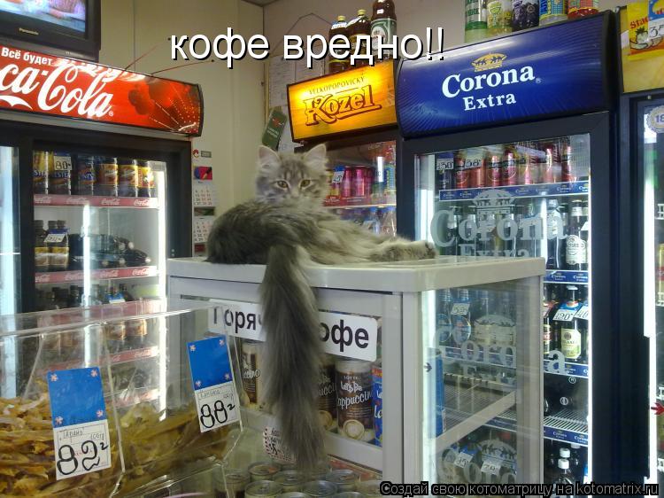 Котоматрица: кофе вредно!!