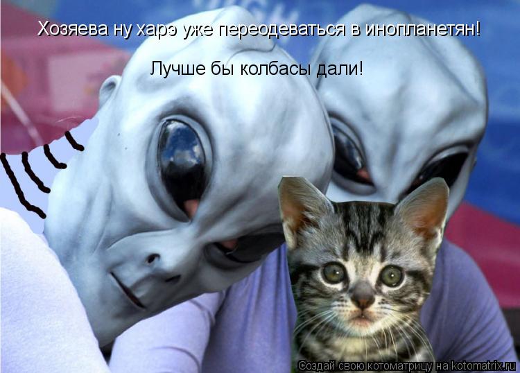 Котоматрица: Хозяева ну харэ уже переодеваться в инопланетян! Лучше бы колбасы дали!