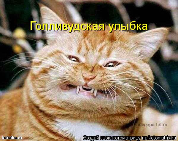 Котоматрица: Голливудская улыбка