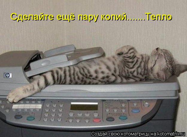 Котоматрица: Сделайте ещё пару копий.......Тепло