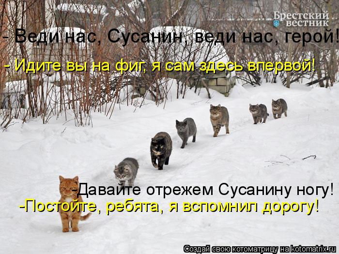 Котоматрица: - Веди нас, Сусанин, веди нас, герой! - Идите вы на фиг, я сам здесь впервой! -Давайте отрежем Сусанину ногу! -Постойте, ребята, я вспомнил дорогу